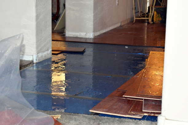 Professional Sewage Cleanup technician working in Salisbury, MO